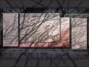 abstract158.jpg