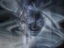 abstract341.jpg